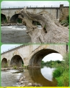 Bec_de_l_Allier_-_Pont_Canal_du_Guetin_-_IMG_0694.jpg