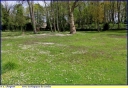 Ndeg_06_-_Parc_ecologique_de_Senlis_-_182.jpg