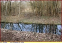 Parc_ecologique_Senlis_-_Ndeg_17_028.JPG