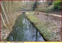 Parc_ecologique_Senlis_-_Ndeg_17_029.JPG